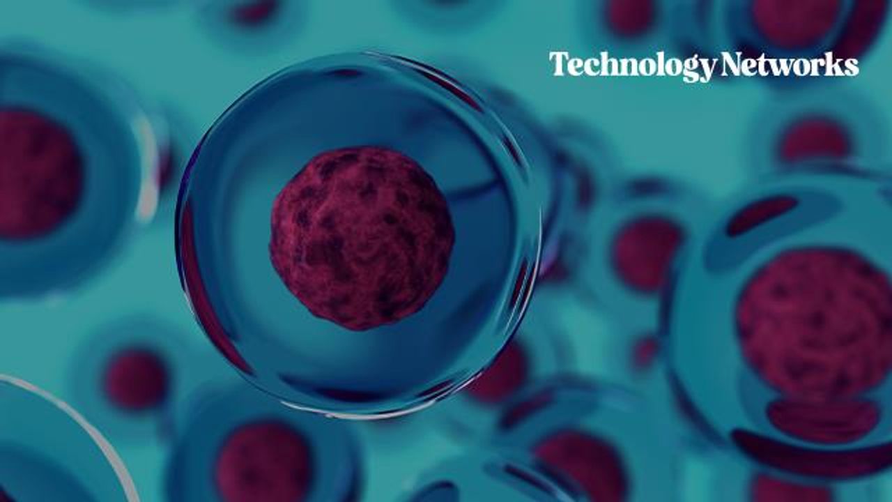 Intestinal Organoids and Their Role in Tissue Engineering