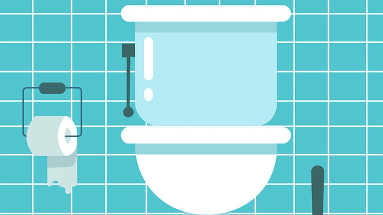 Shut That Toilet Lid When You Flush!
