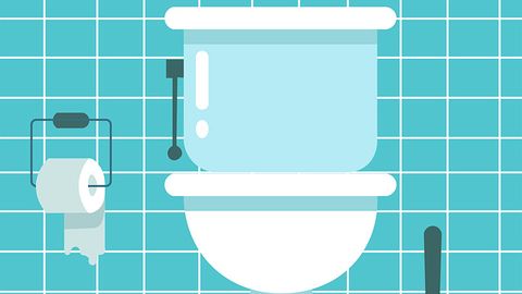 Shut That Toilet Lid When You Flush!