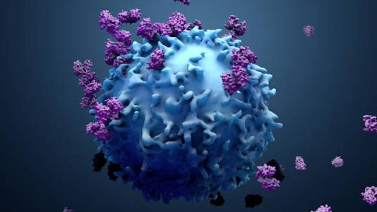 Accelerating Study of Viral Infection and Therapeutics