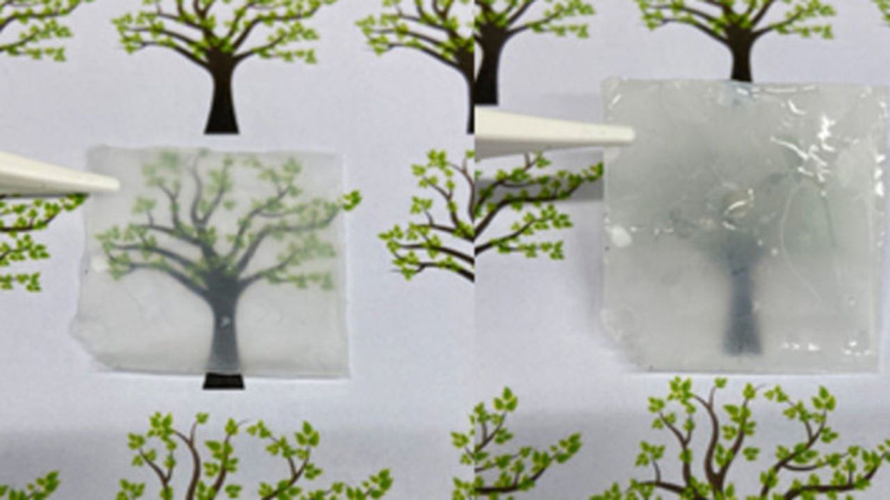Billions of Tons of Biowaste Could Be Used To Make Glass and Solar Cells