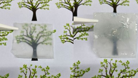 Billions of Tons of Biowaste Could Be Used To Make Glass and Solar Cells