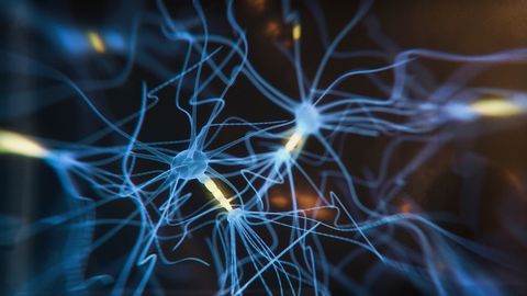 Cholesterol Plays an Important Role in Myelin Regeneration