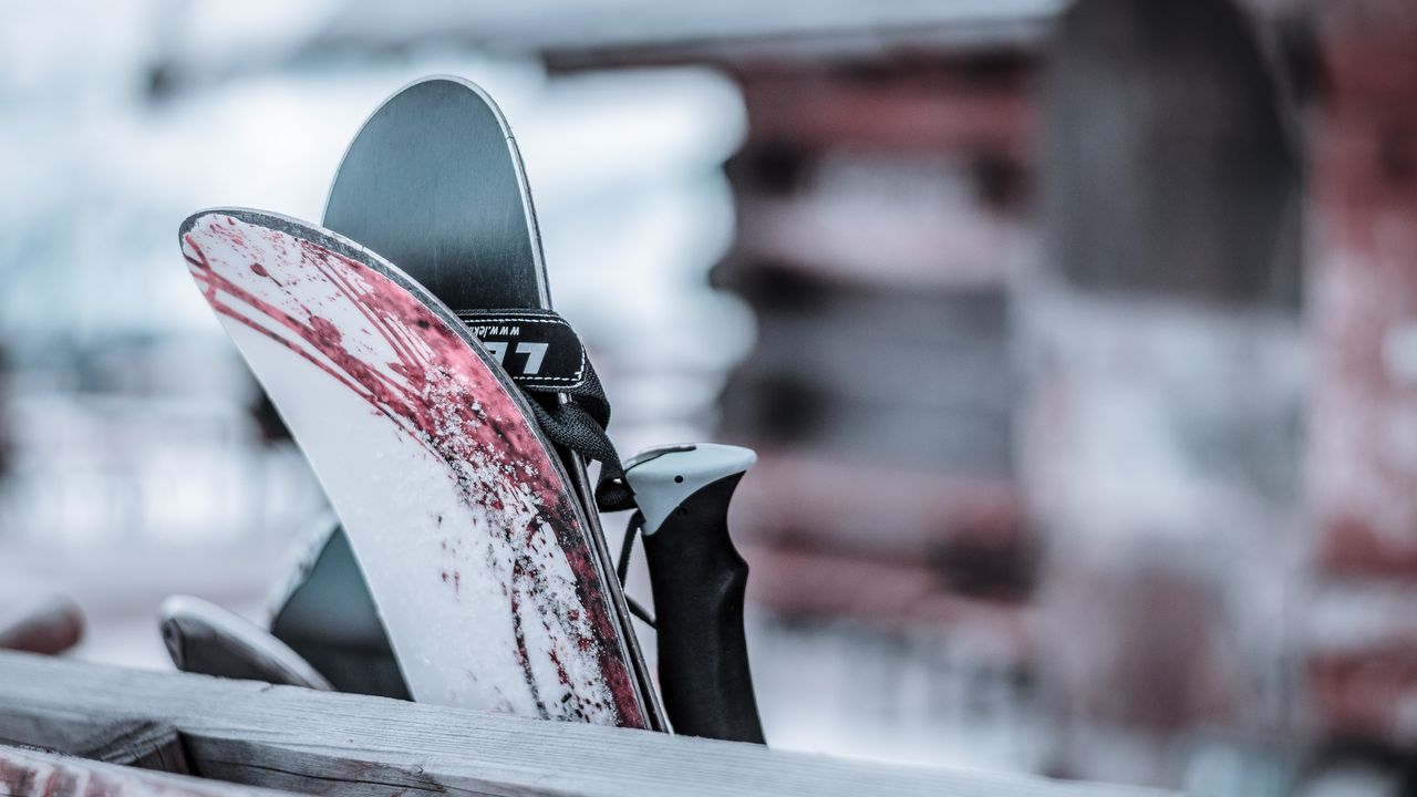 PFAS Chemicals Found in Ski Wax Alter Animals' Brains