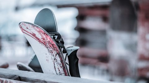 PFAS Chemicals Found in Ski Wax Alter Animals' Brains