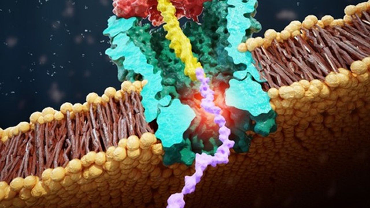 Scanning a Single Protein, One Amino Acid at a Time
