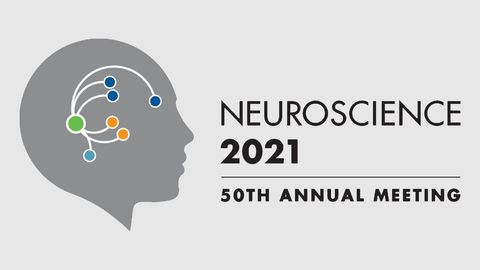 Neuroscience 2021: What To Watch on Day 4 Neuroscience 2021: What To Watch on Day 4