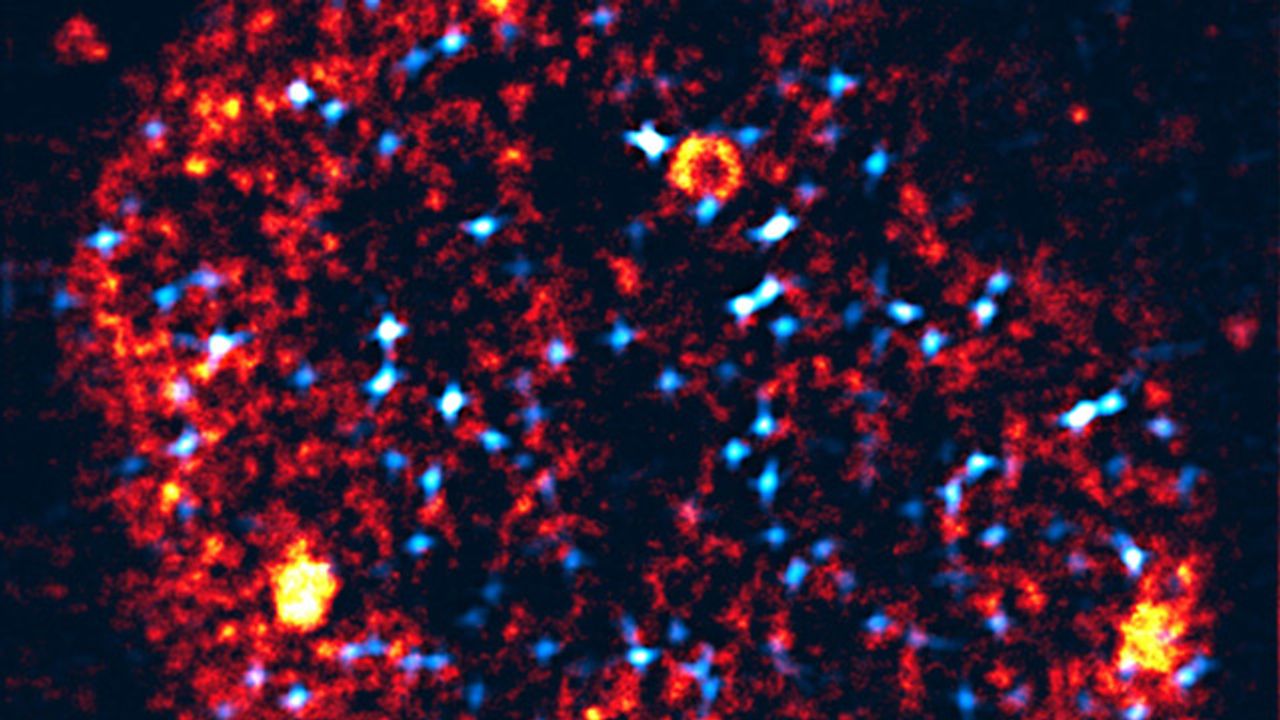 How Cells Correctly Choose Active Genes