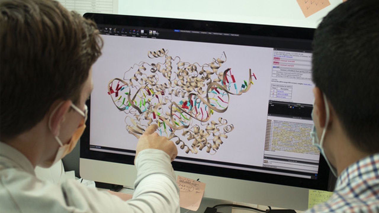 CRISPR-Based Tool Developed for Rapid Detection of SARS-CoV-2