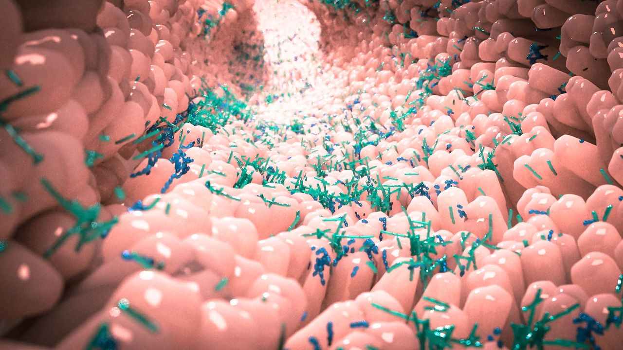Exploring Shared Origins of Irritable Bowel Syndrome and Mental Health Disorders