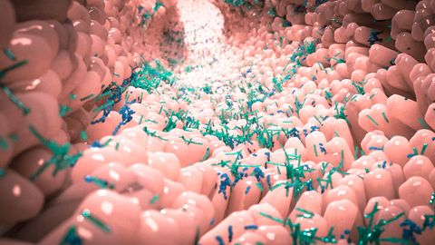 Exploring Shared Origins of Irritable Bowel Syndrome and Mental Health Disorders