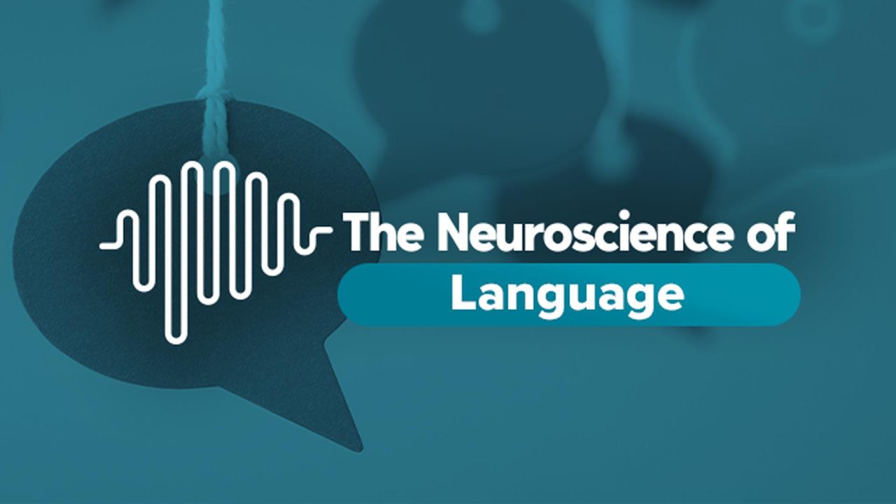 The Neuroscience of... Language