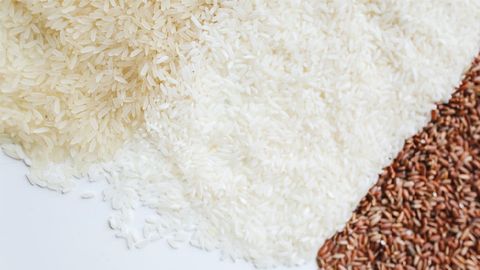 Genomic Tools Boost Rice Breeding