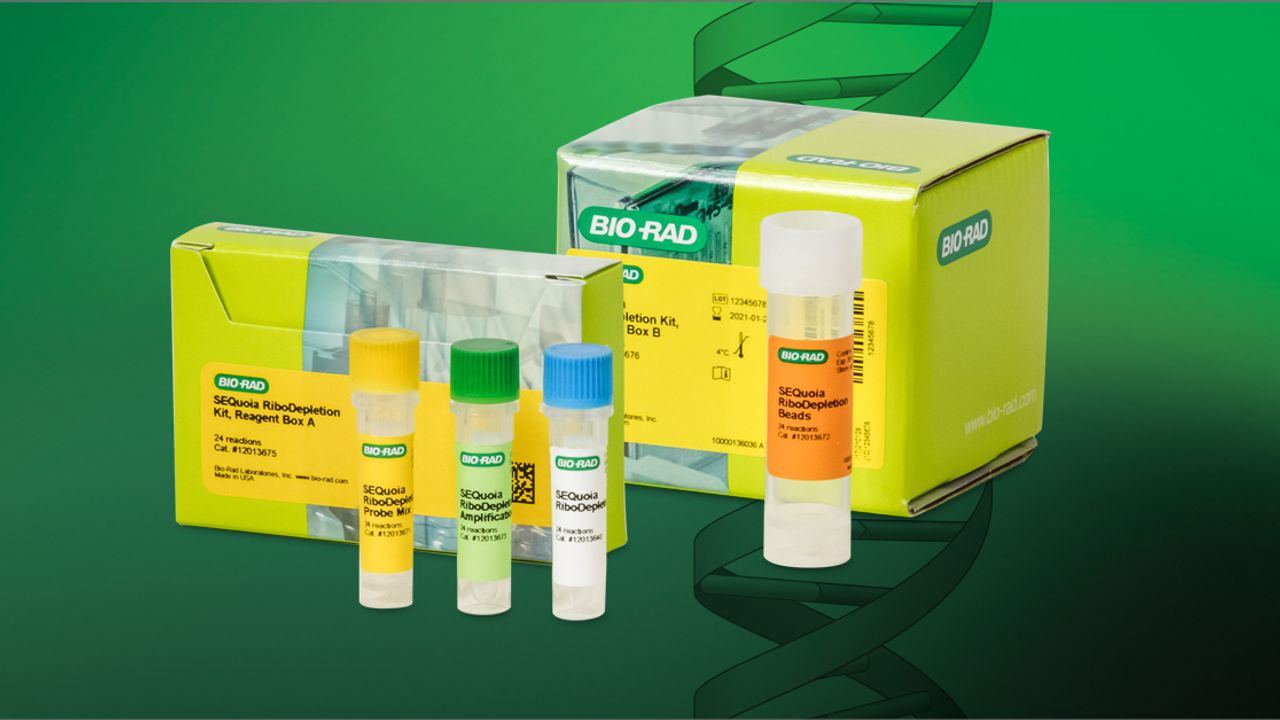 Retain Rare RNA Transcripts With New rRNA Depletion Kit