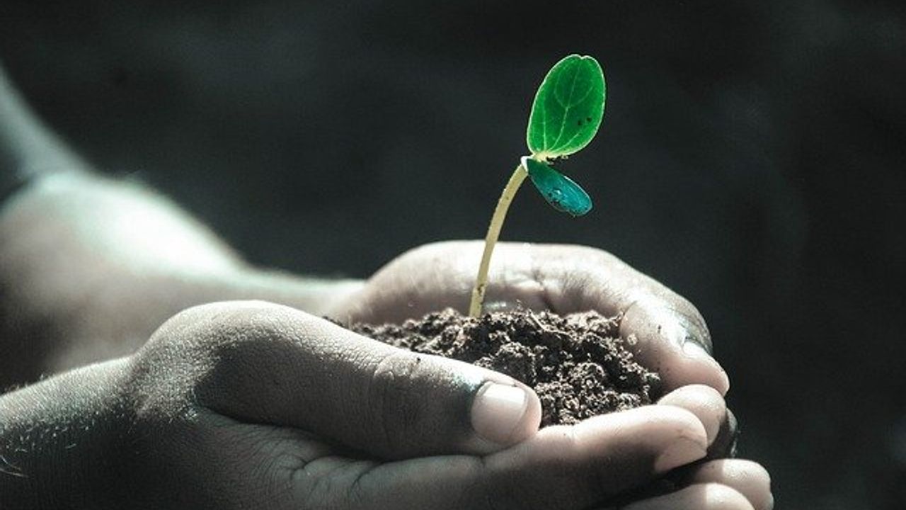 Nitrous Oxide Emissions From Agricultural Soils Should Be Factored Into Climate Change Mitigation Efforts