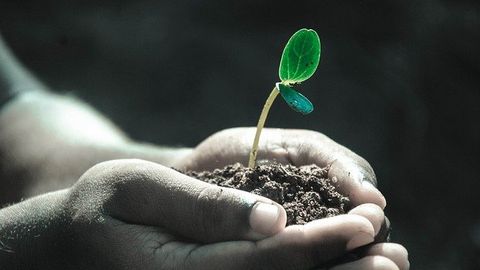 Nitrous Oxide Emissions From Agricultural Soils Should Be Factored Into Climate Change Mitigation Efforts