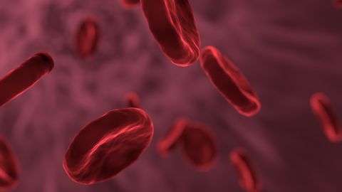 Lack of Important Molecule in Red Blood Cells Causes Vascular Damage in Type 2 Diabetes