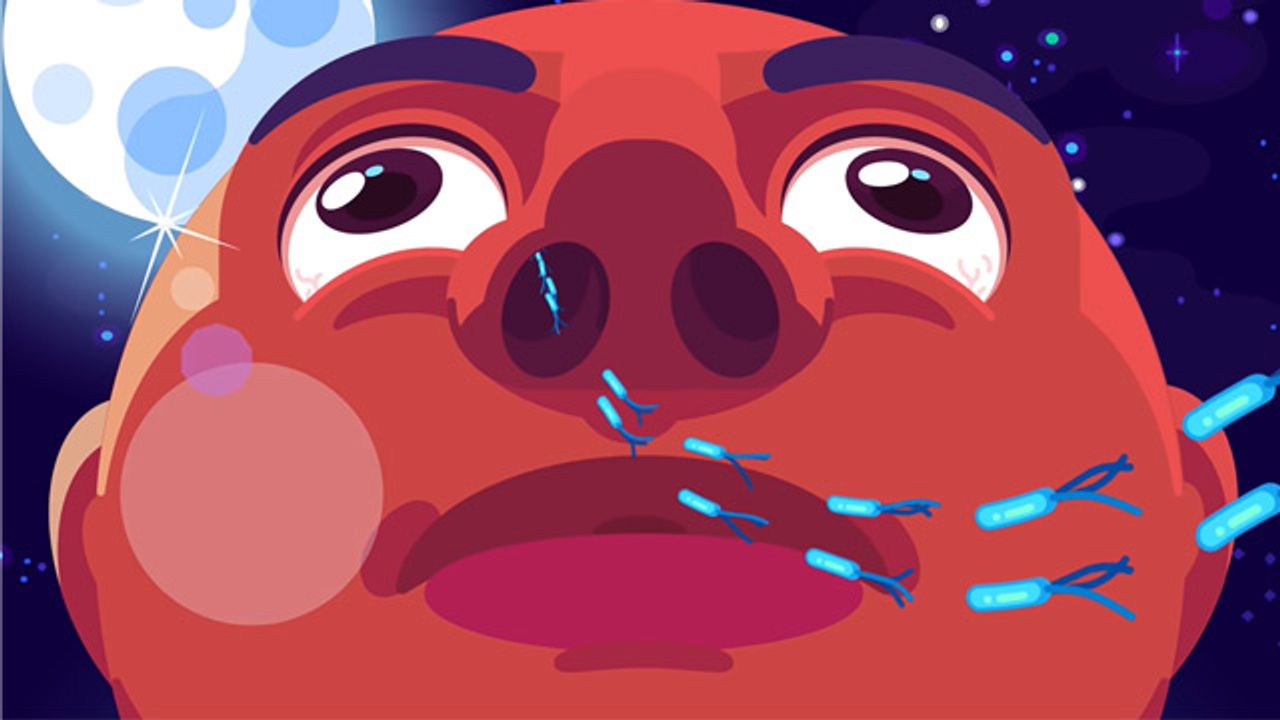 You Are Immune Against Every Disease