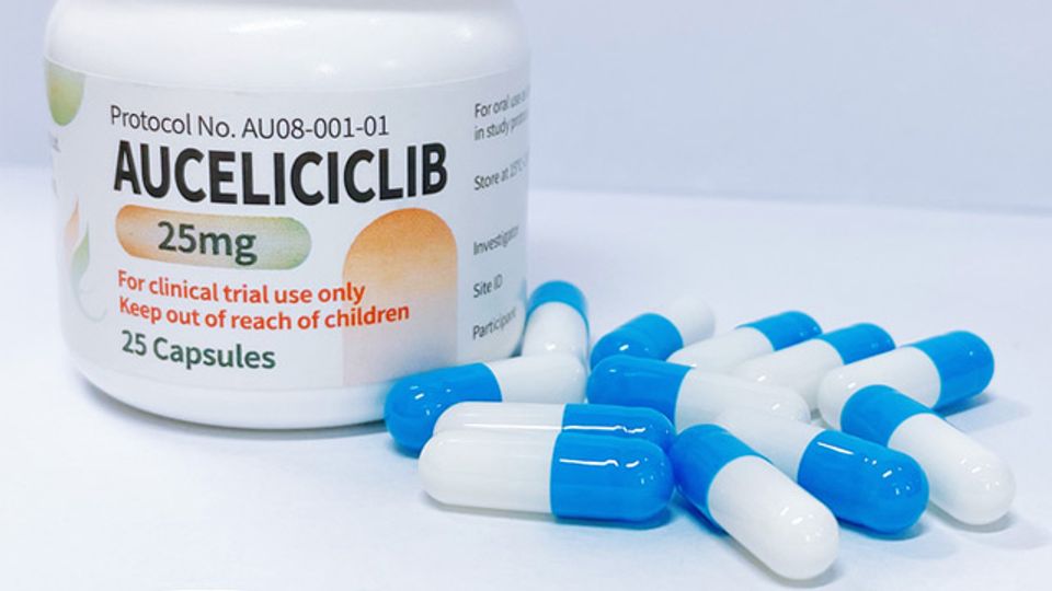 Auceliciclib Explored as a Potential Treatment for Pancreatic Cancer content piece image