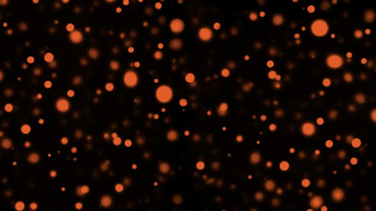 Tiny Droplets Offer a Glimpse of What Goes on Inside a Cell