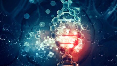 DNA Damage and Its Role in Cancer DNA Damage and Its Role in Cancer