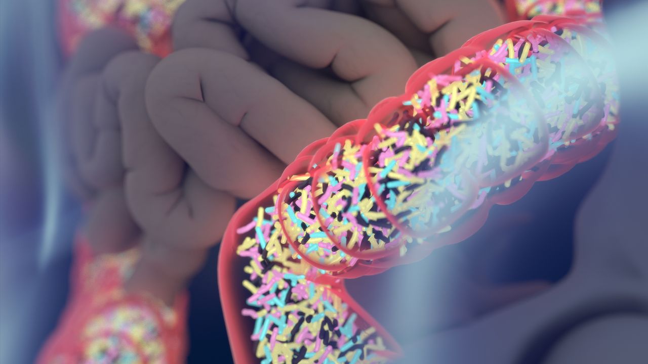 Microbiome Likely Not a Causal Factor for Autism, Suggests Largest Study