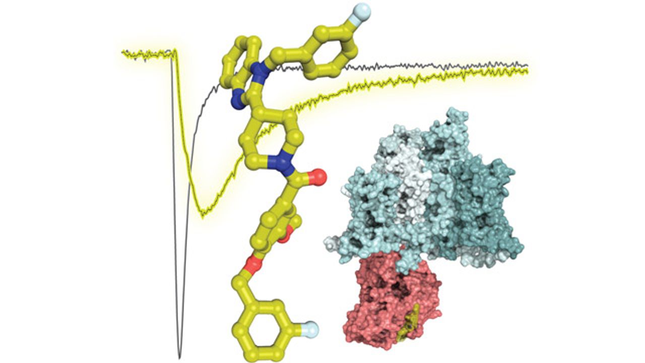 Compound Designed To Reverse Pain