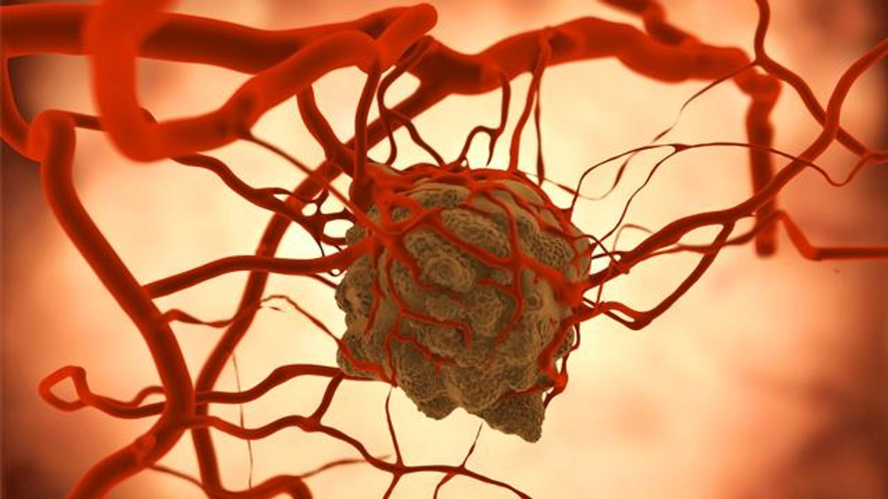 Synthetic Immunotherapy Destroys Tumors in Mice