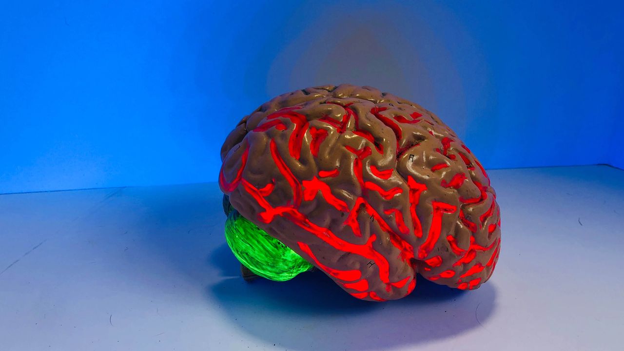 A New Approach for Potentially Treating and Vaccinating Against Alzheimer’s