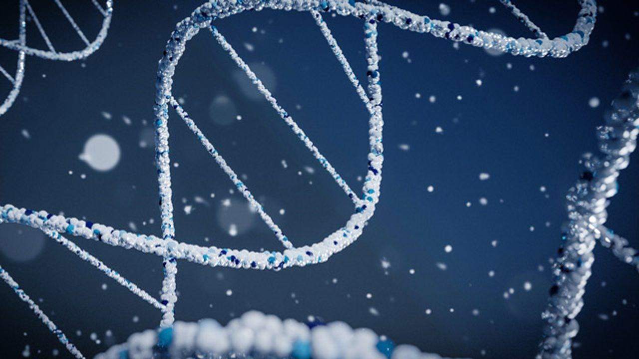 Probing the Dark Matter of the Cancer Genome for Prognostic Biomarkers