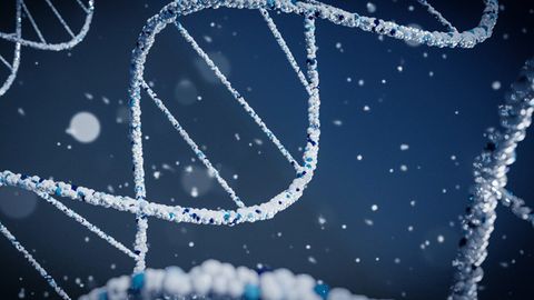 Probing the Dark Matter of the Cancer Genome for Prognostic Biomarkers