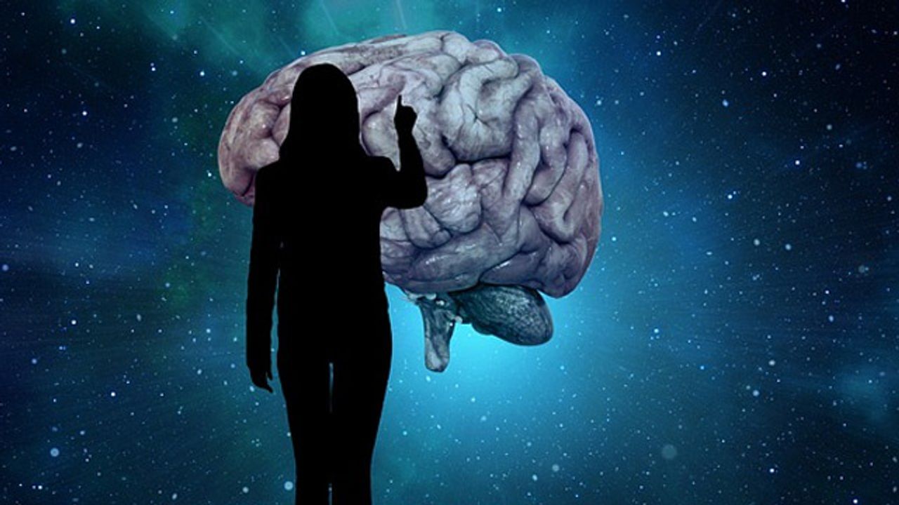 Targeting Malignant Brain Tumors With T Cells