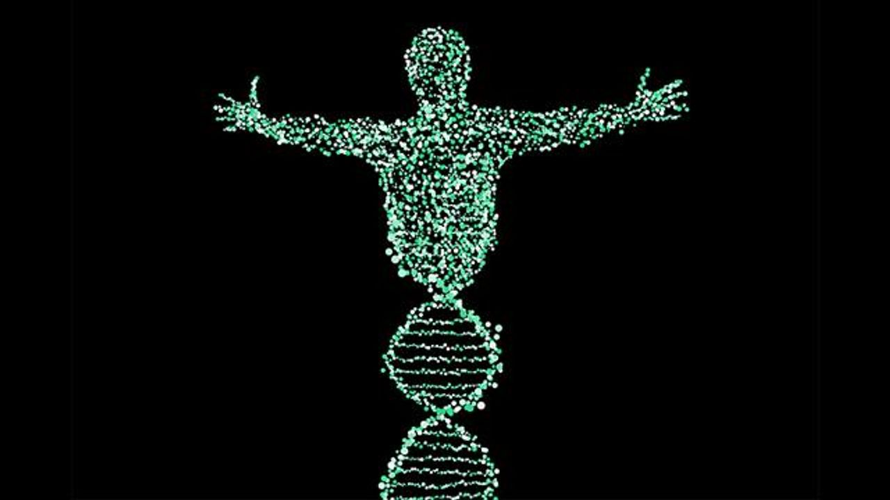 Researchers Produce a Single-Cell Chromatin Atlas for the Human Genome