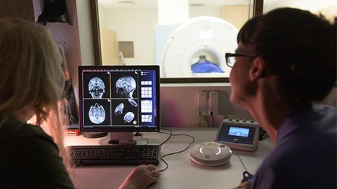 Brain Activity Study Suggests the Developing Brain Makes Inferences Differently