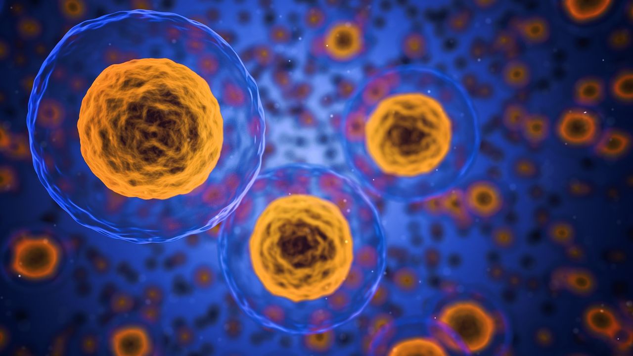 How Cellular Structures Regulate Insulin Secretion "Hotspots"