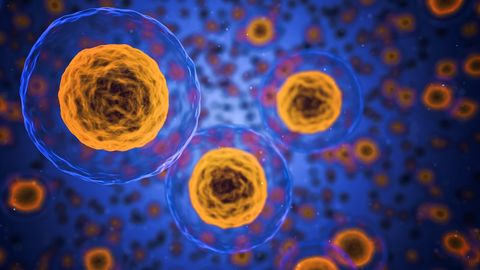 How Cellular Structures Regulate Insulin Secretion "Hotspots"