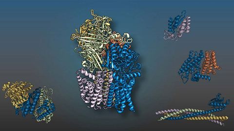 Predicting Protein Interactions With Artificial Intelligence