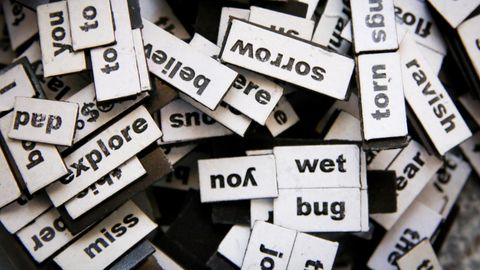 Cold Air, Cold Heart: Exploring How the Brain Processes Polysemous Words