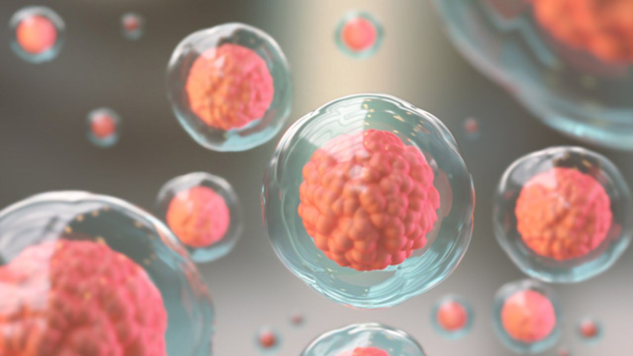 Nanoscale "Computer" Activates Protein and Influences Cell Behavior