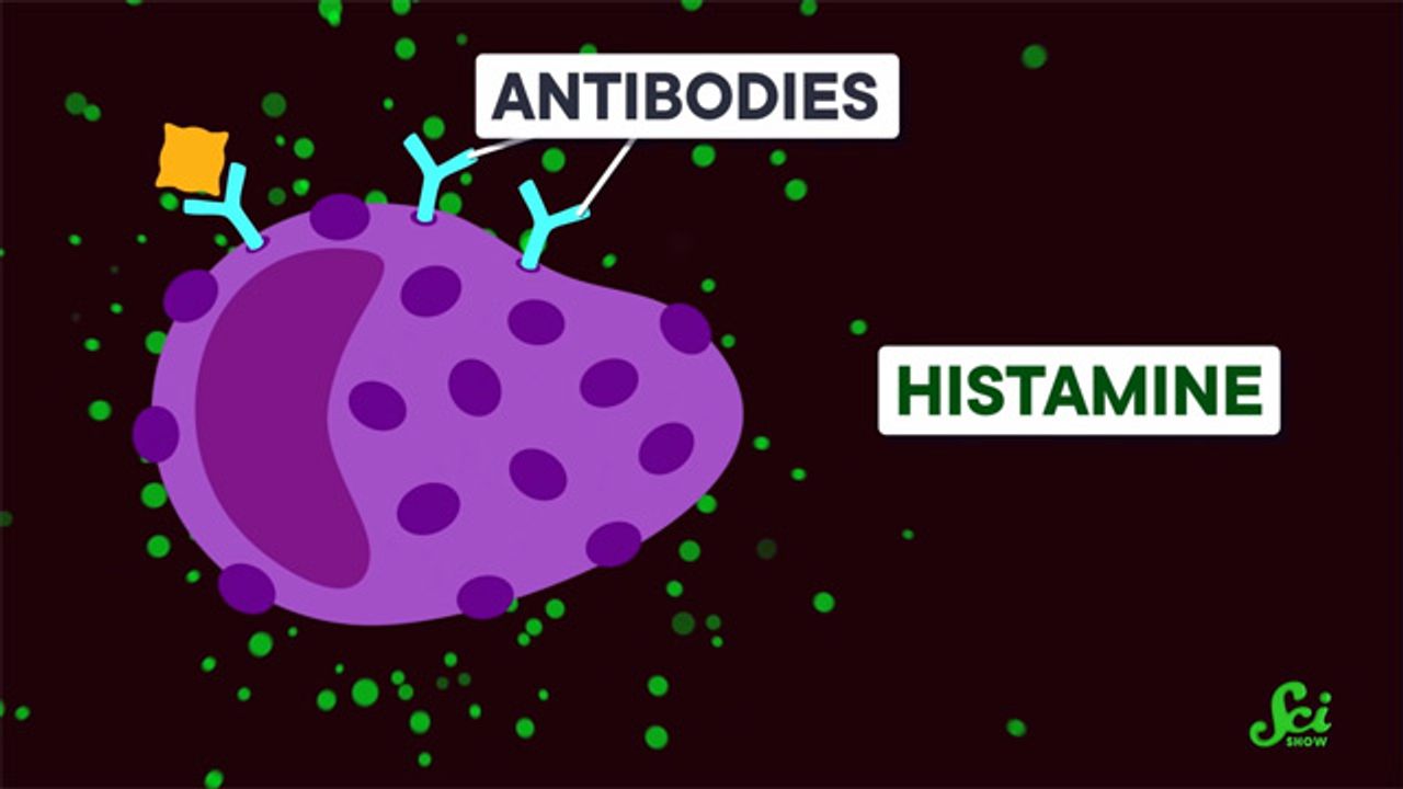 Antihistamines for Everything?