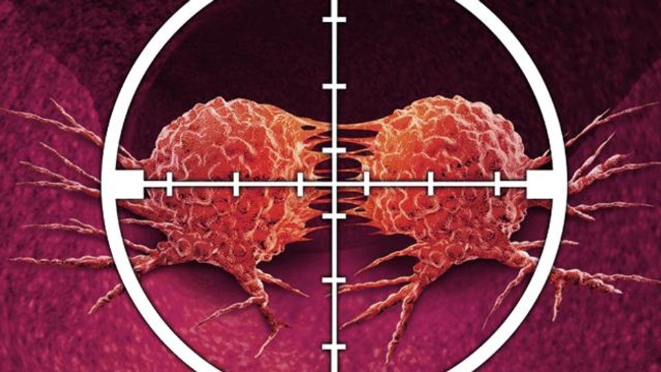 Shape-Morphing Microrobots Deliver Drugs to Cancer Cells content piece image