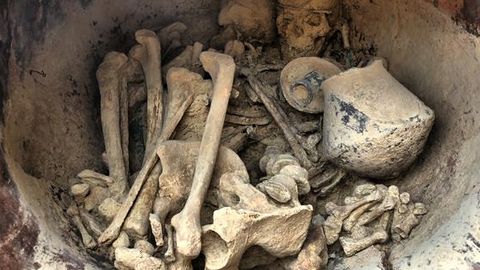 Ancient Iberian DNA Reveals Genomic and Social Transformations