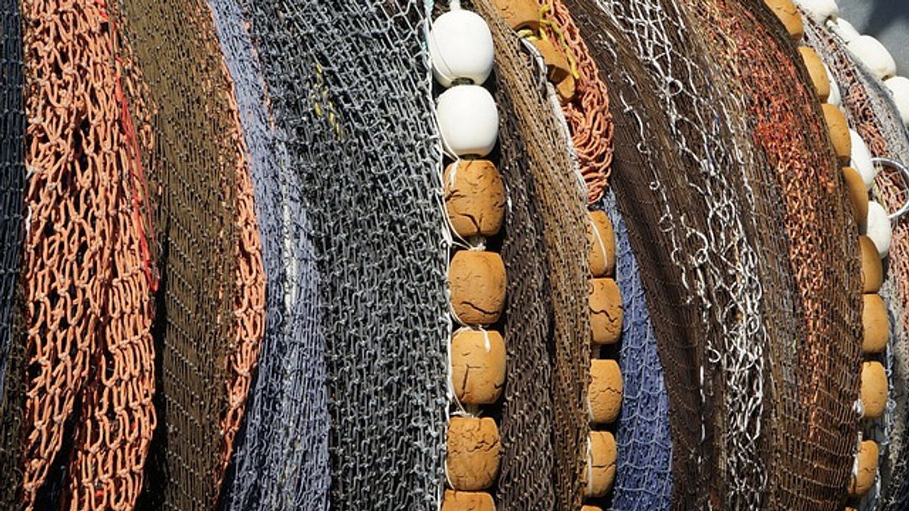 Reducing Plastics in Seafood Begins With Understanding