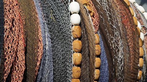 Reducing Plastics in Seafood Begins With Understanding