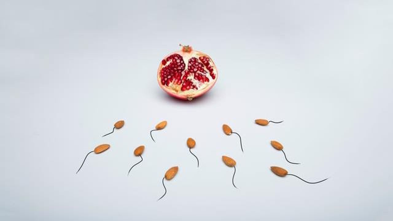 New Clues About the Process of Meiosis