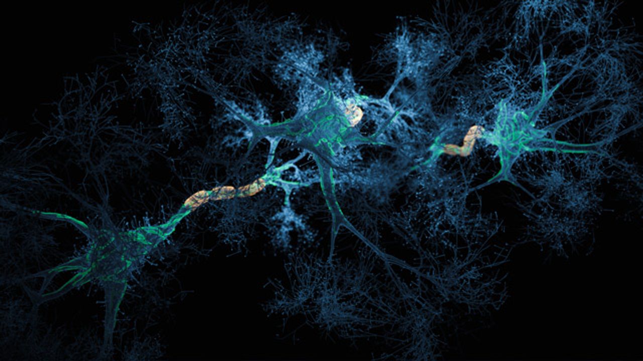 Team Reverses the Clinical Signs of Alzheimer’s Disease in Mice