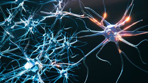 Identifying Novel Drug Targets for Neurodegeneration Identifying Novel Drug Targets for Neurodegeneration
