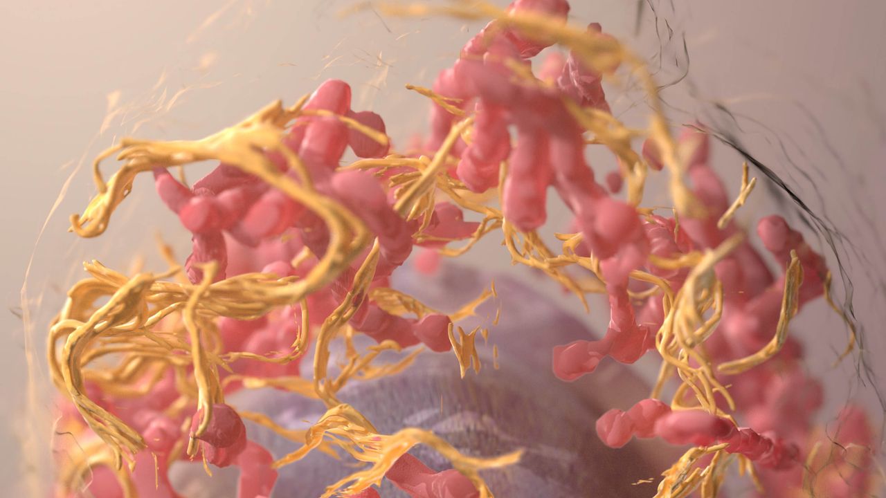 p53 Is Activated During CRISPR-Cas9 Genome Editing