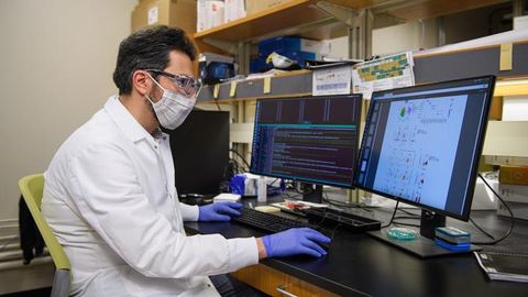 Vitamin D Metabolite Involved in Shutting Down Inflammation