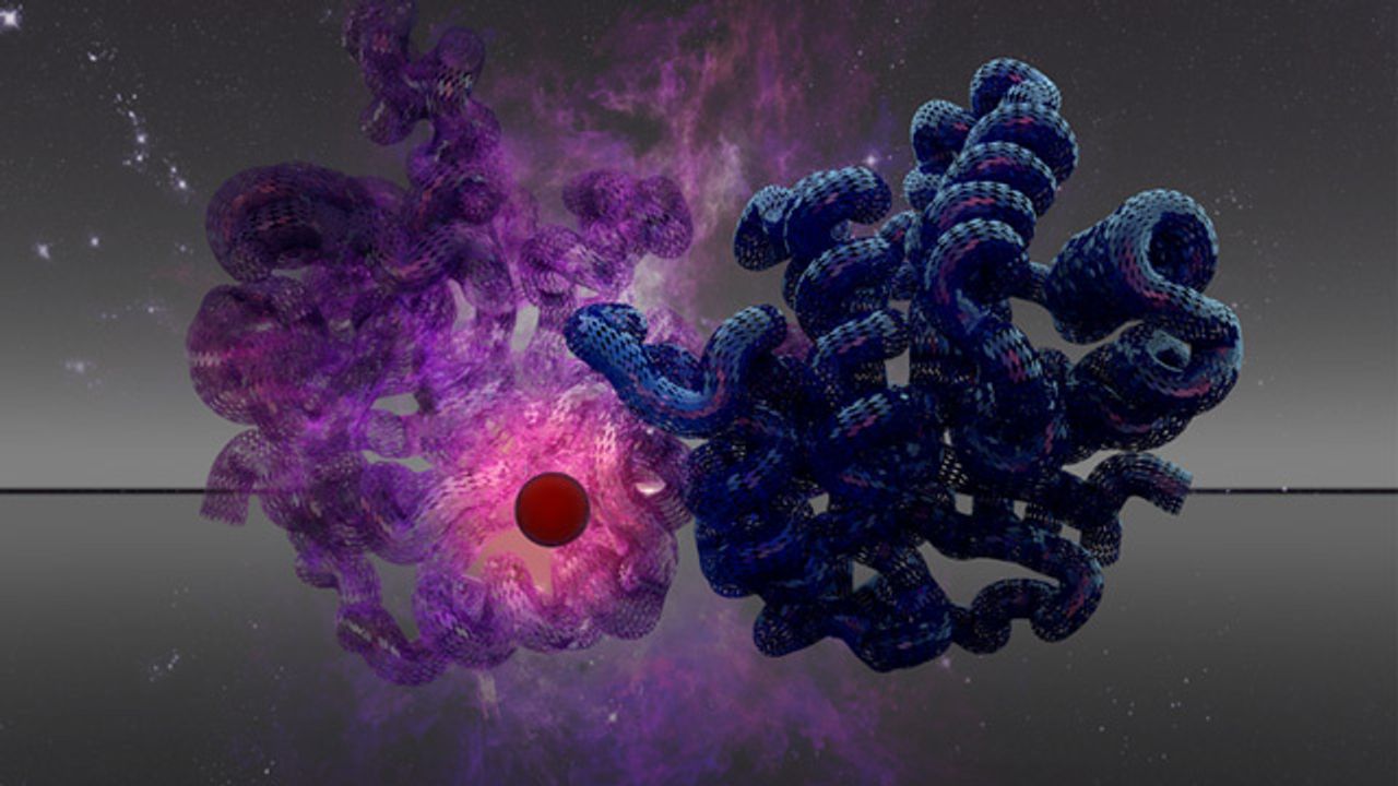 Plans and Goals for the Human Proteoform Project